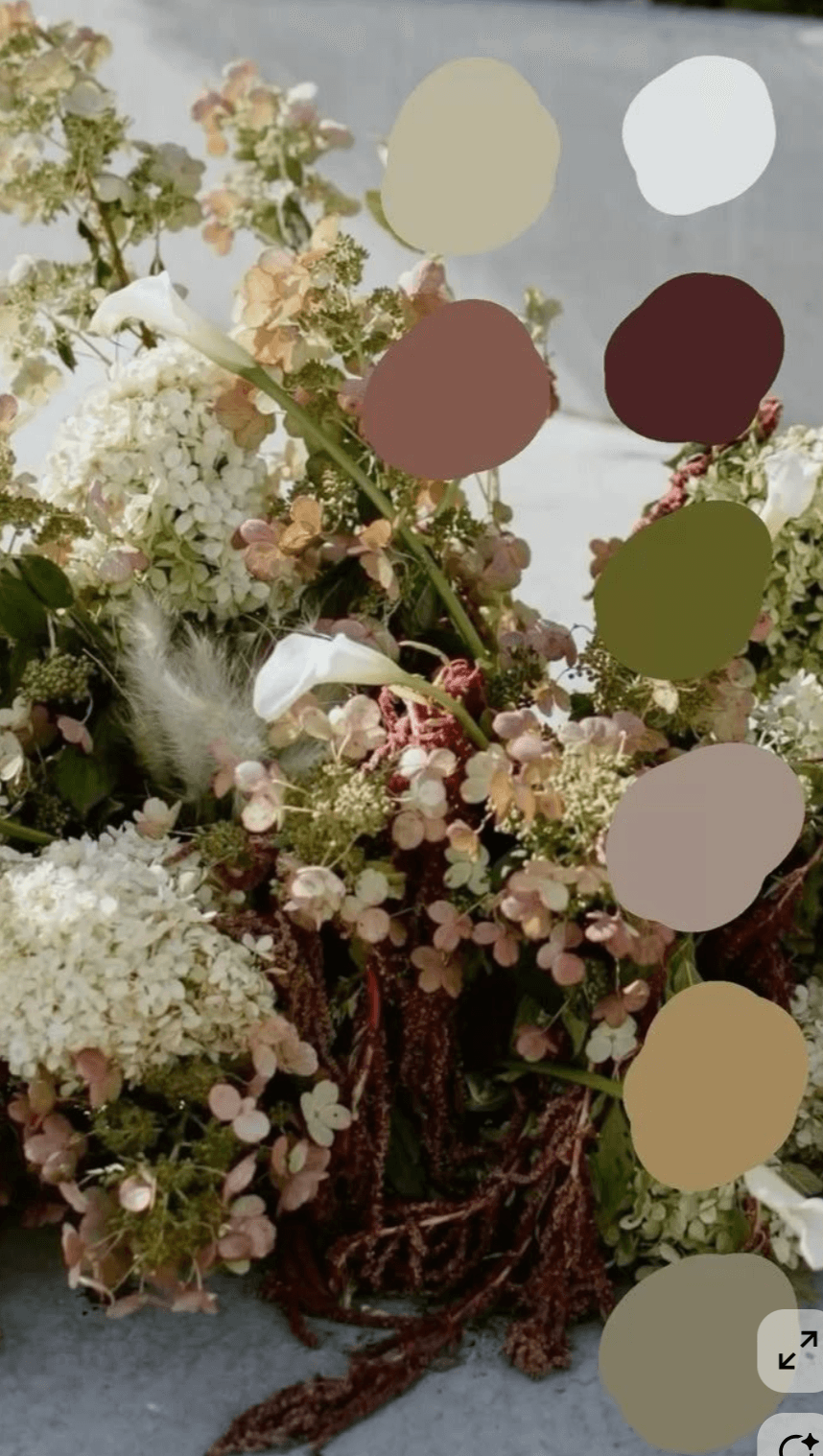 Dried florals — source photography