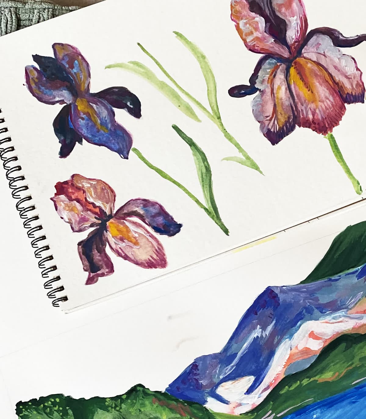 Iris studies — gouache on cold-press paper