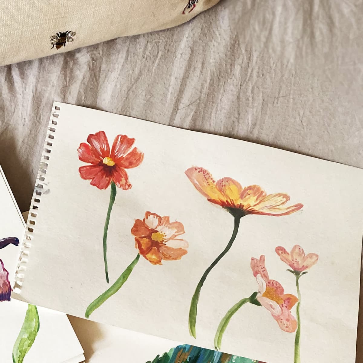 Poppy and cosmos studies from the late garden